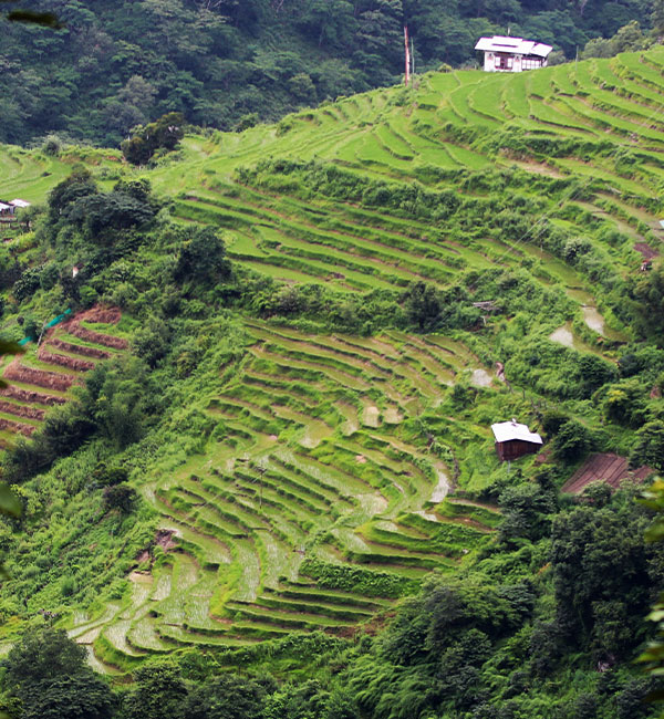 Wangdue Phodrang